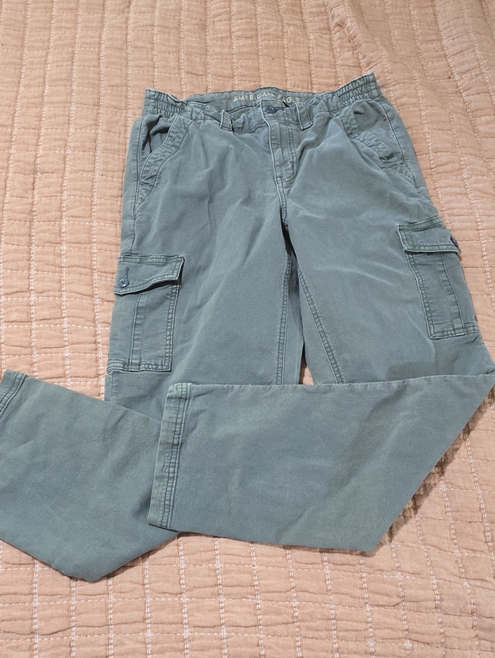 American Eagle Outfitters Men's Faded Sage Cargo Pants